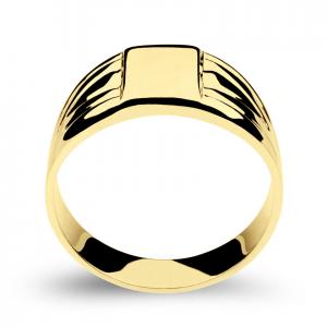 Muški prsten pečatnjak