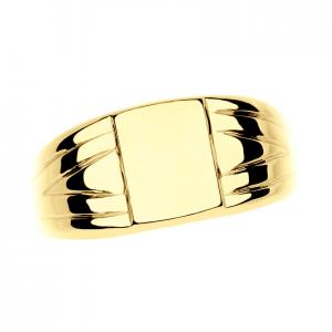 Muški prsten pečatnjak