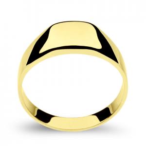 Muški prsten pečatnjak