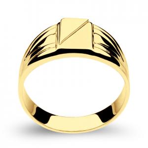 Muški prsten pečatnjak